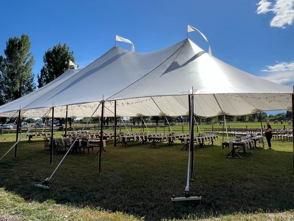 Photo of a large, white tent for a party on a grassy setting