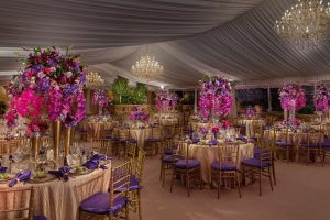 party time rentals